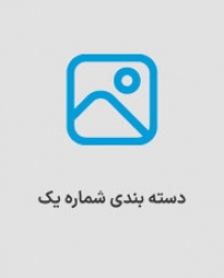 دسته بندی اول