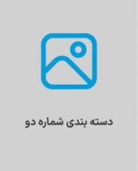 دسته بندی دوم